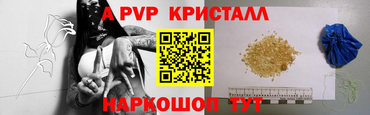 Альфа ПВП СК Котовск