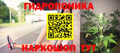 ALPHA PVP Кимры