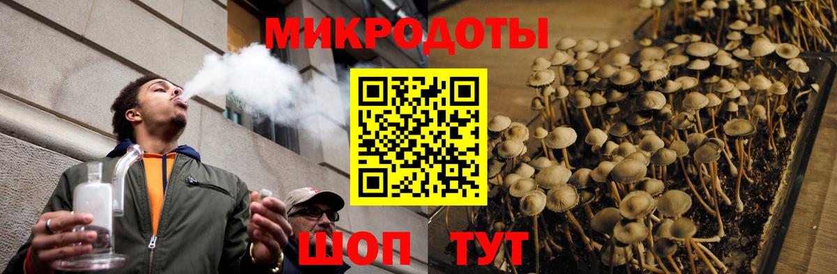 Котовск  Псилоцибиновые грибы Cubensis  Вход с VPN 
